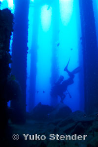 Midway Dive Sites, Cargo Pier
