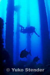 Midway Dive Sites, Cargo Pier