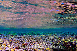 Midway Dive Sites, Midway Lagoon